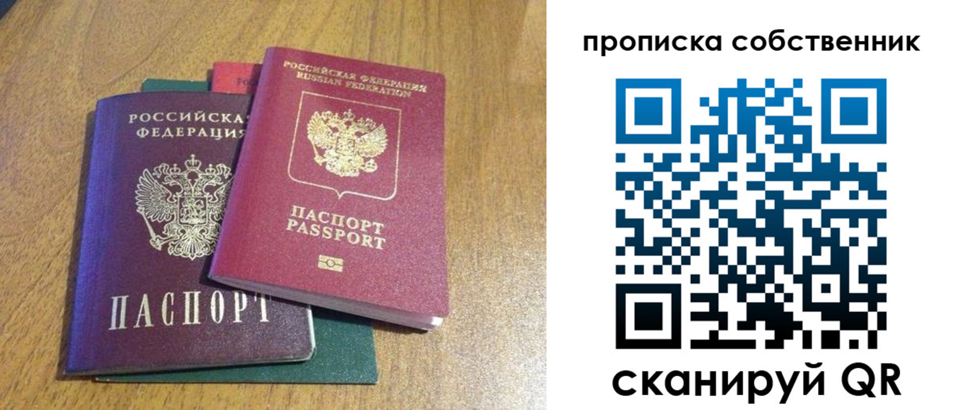 временная регистрация гарантия в Ершове